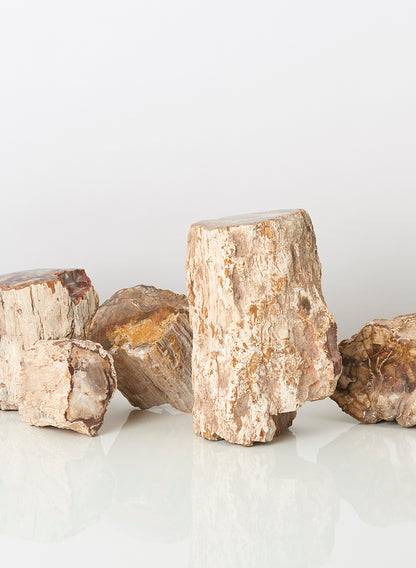 3-9in Petrified Wood Mini Trunks  