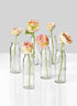 6in Glass Bottle Vase