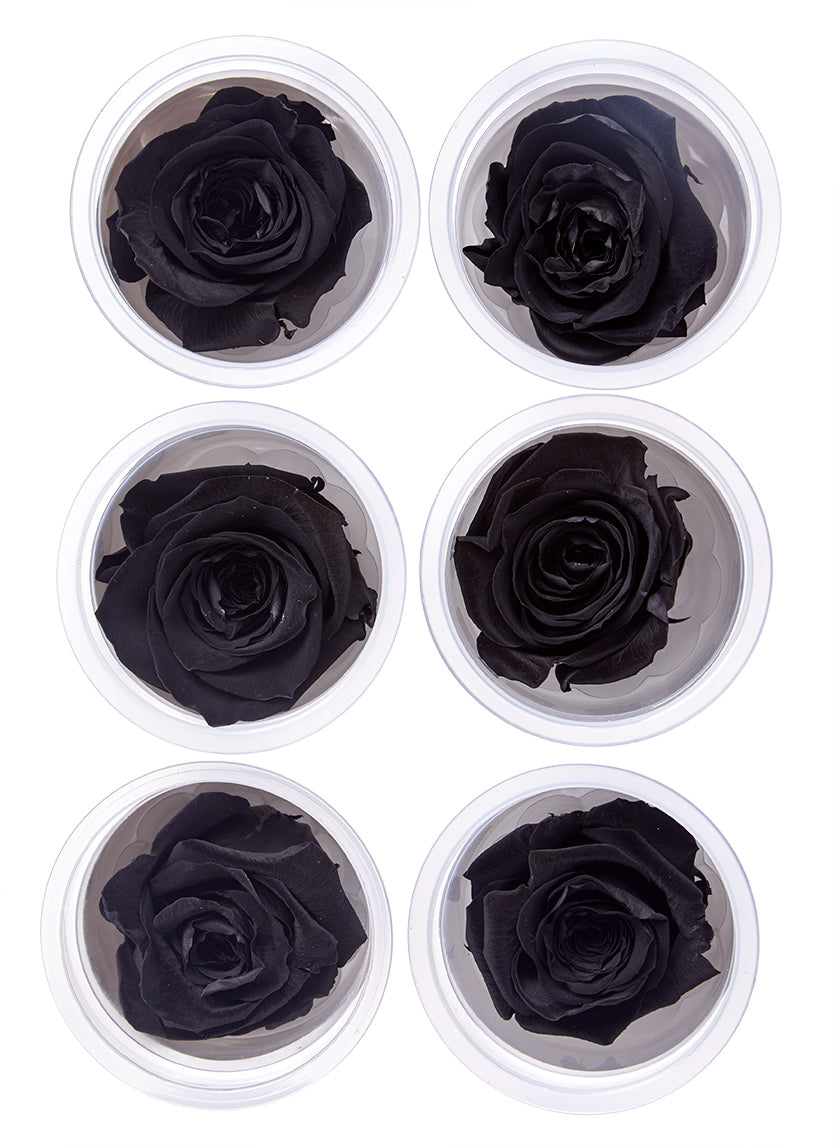 Preserved Luxurious Black Rose