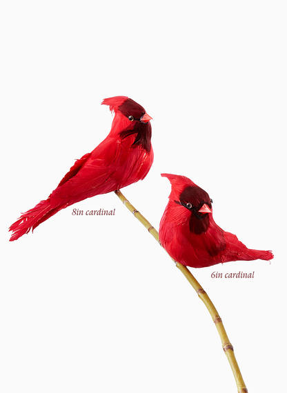 6in &amp; 8in Cardinals