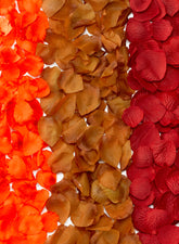 Red Foam, Orange, & Copper Rose Petals