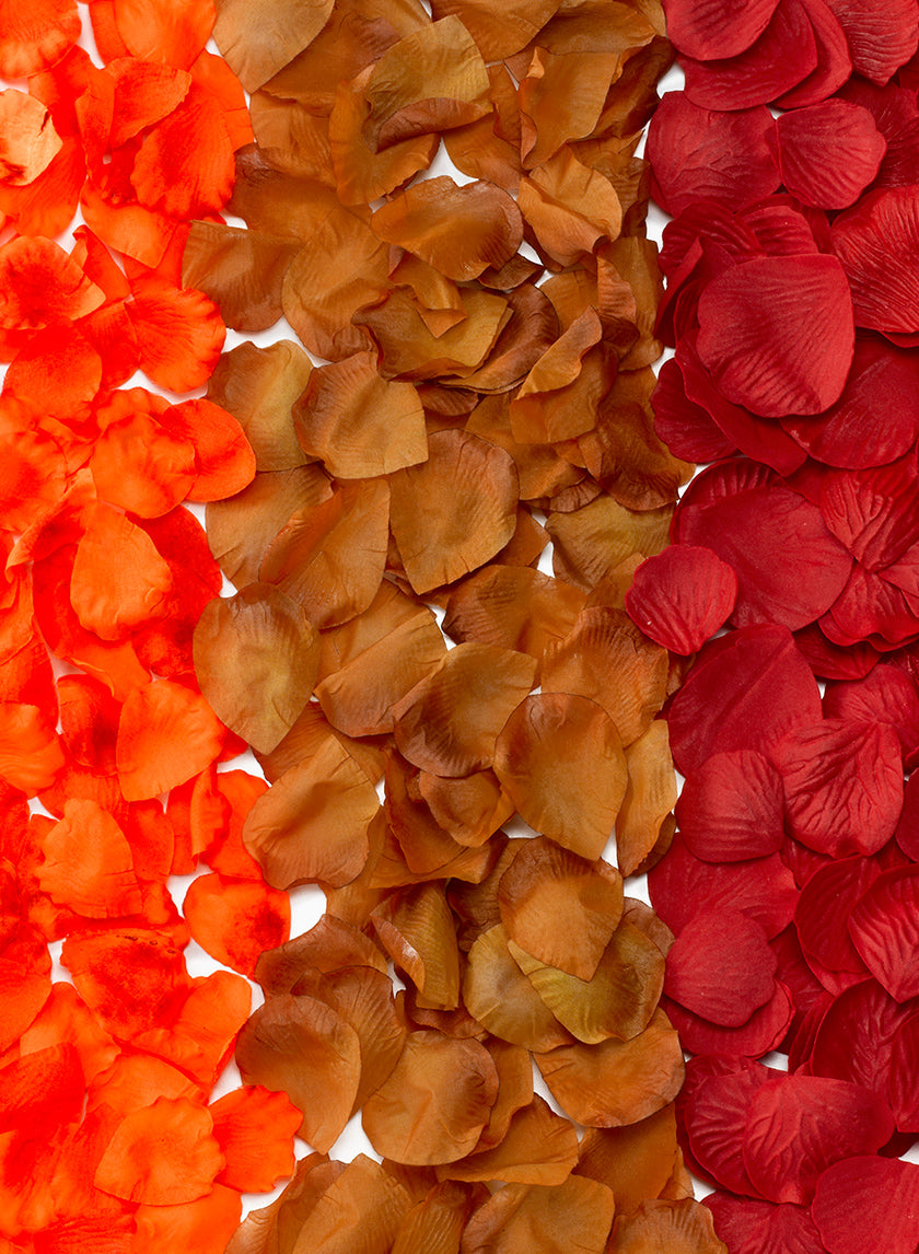 Red Foam, Orange, &amp; Copper Rose Petals