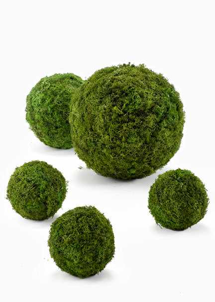 4in, 6in, &amp; 8in Reindeer Moss Ball