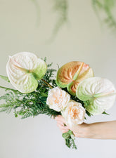 22in Peach & Green Anthurium Spray