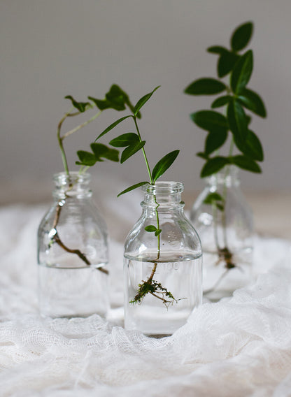 Clear Glass Mini Milk Bottle Vase