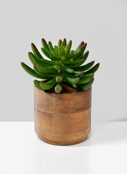 Salma Small Wood Cachepot