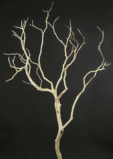 2ft & 3ft Sanded Manzanita Branches