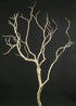 2ft & 3ft Sanded Manzanita Branches