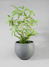 12in  Skyphos Grey Fiberstone Pot