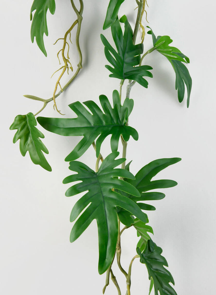 41in Small Philodendron Leaf Vine