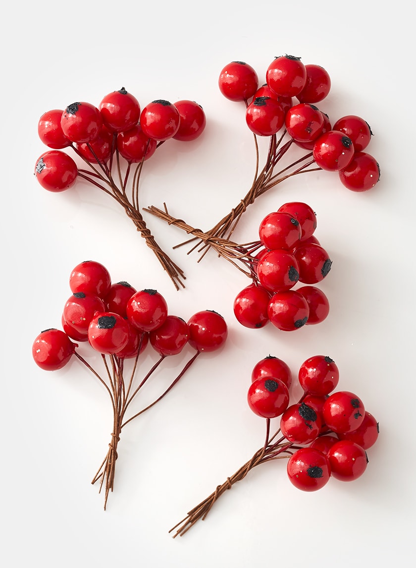 Large Red Berry Pick