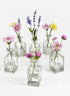 Clear Glass Square Bottle Bud Vase