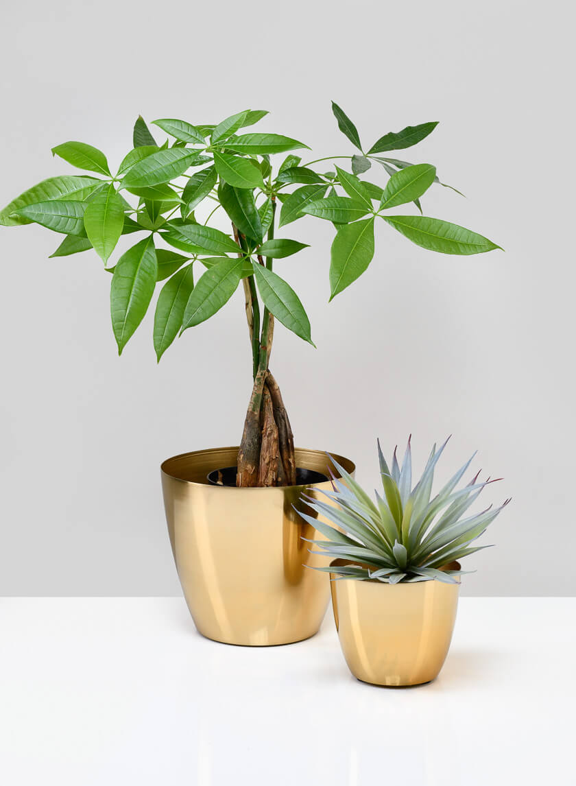 4in Gold Elegance Cachepot