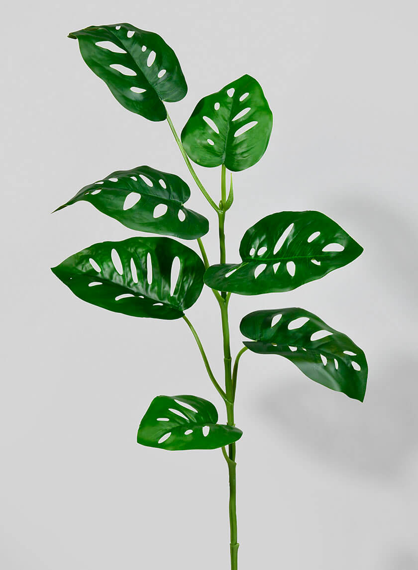 32  1/2in Swiss Cheese Monstera Leaf Spray