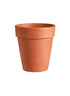 10in & 12in Tall Clay Pot