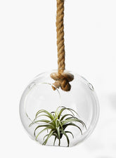 8  1/2in Glass Sphere On A Rope