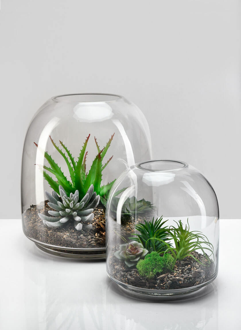 Large Victoria Glass Terrarium