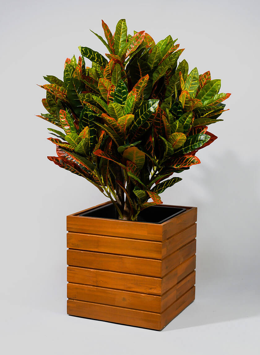 12in Vuong Acacia Wood Planter