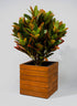 12in Vuong Acacia Wood Planter