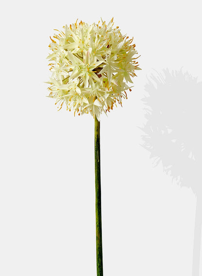 29in White Allium