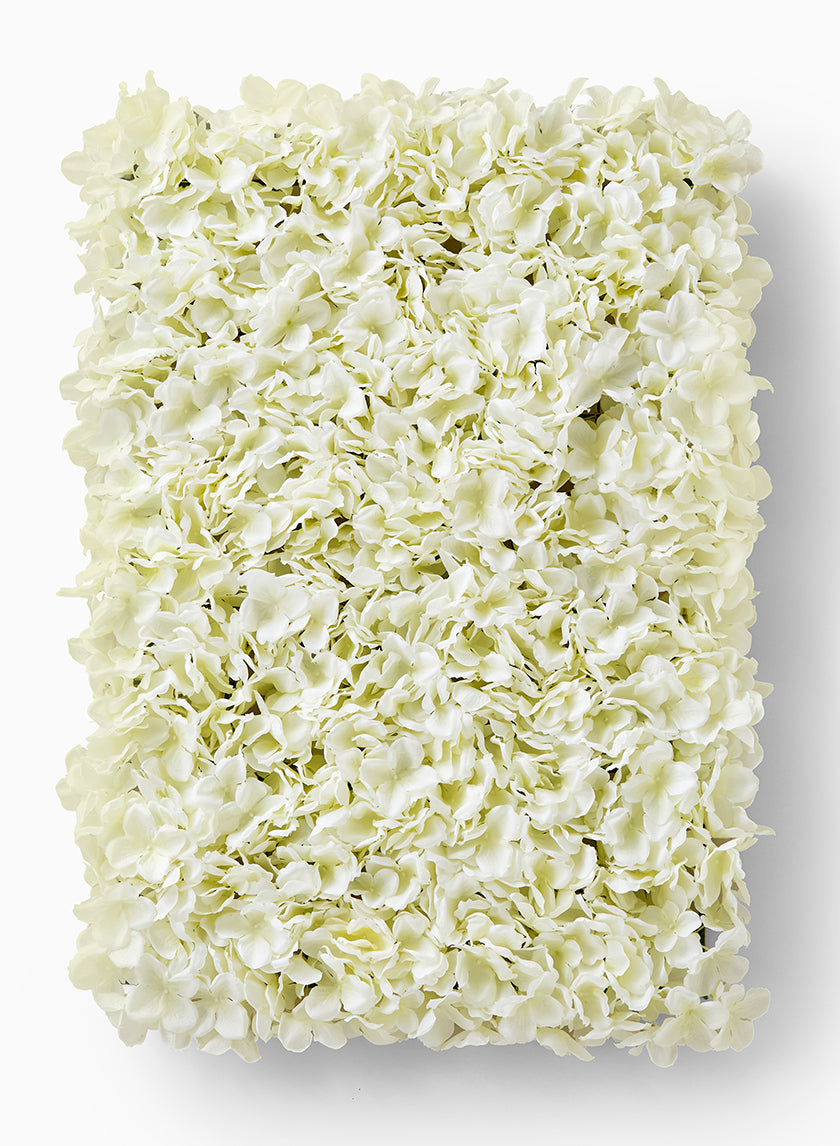 White Hydrangea Flower Block