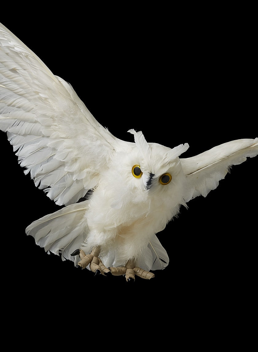 28in Flying White Owl