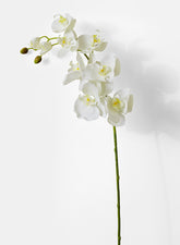 43in White Phalaenopsis Orchid Spray