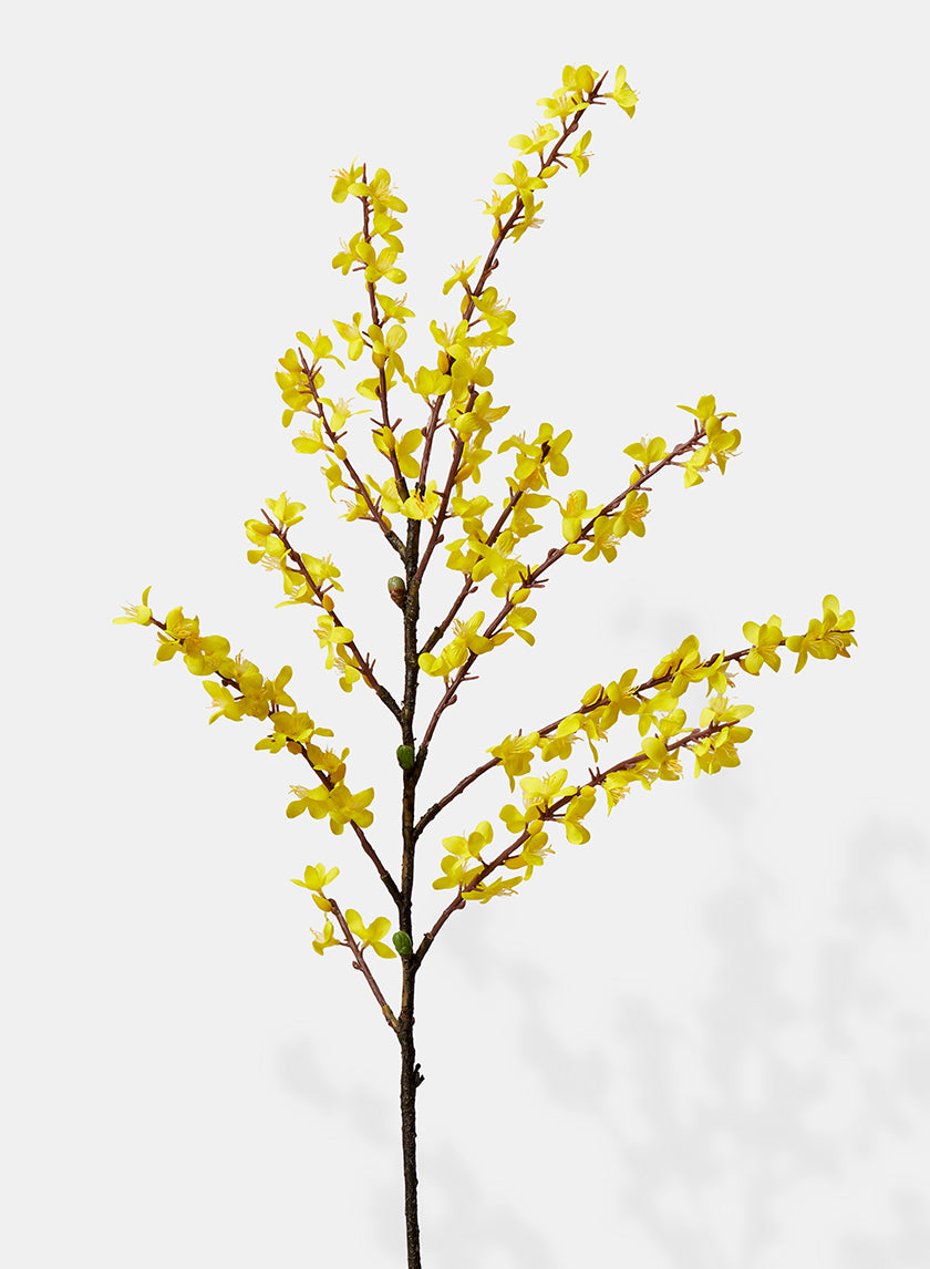 43in Winter Jasmine