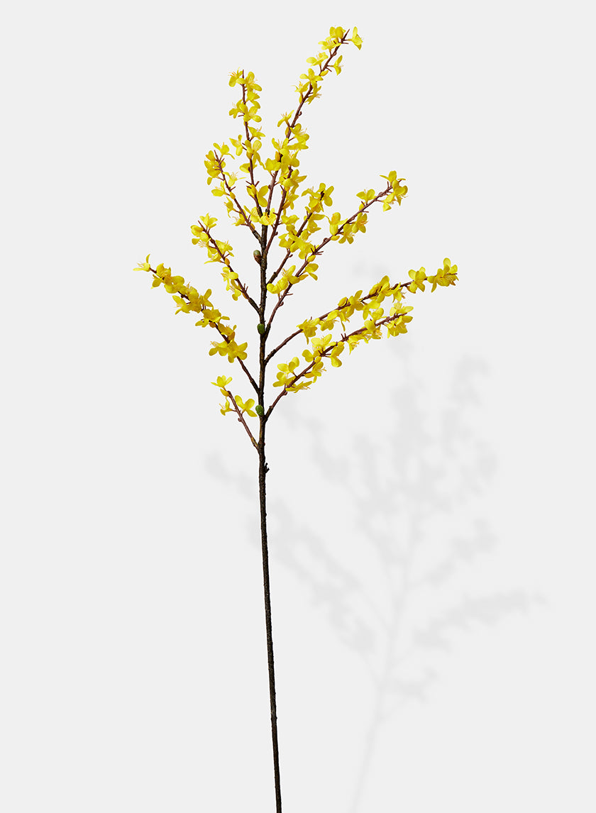 43in Winter Jasmine